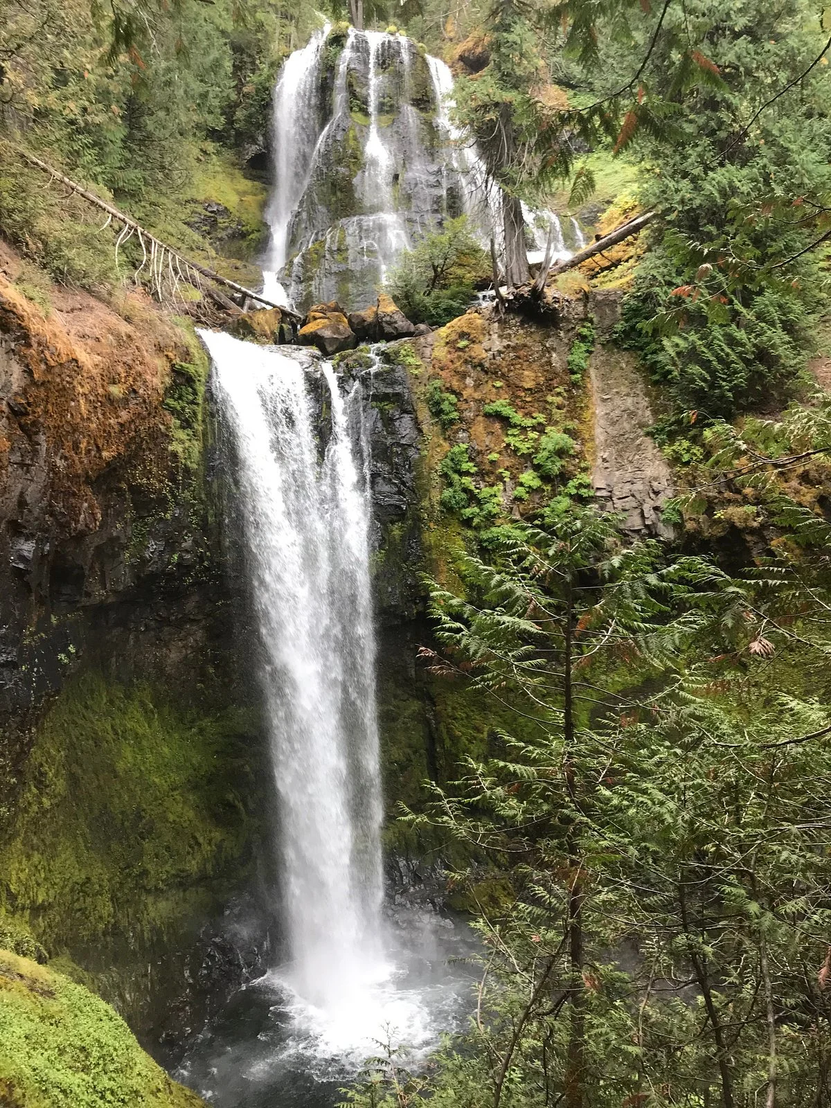Falls Creek Falls