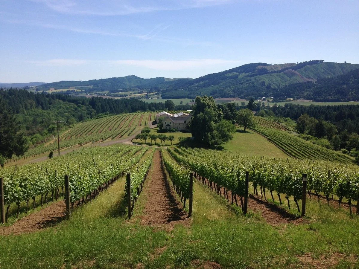 David Hill Winery