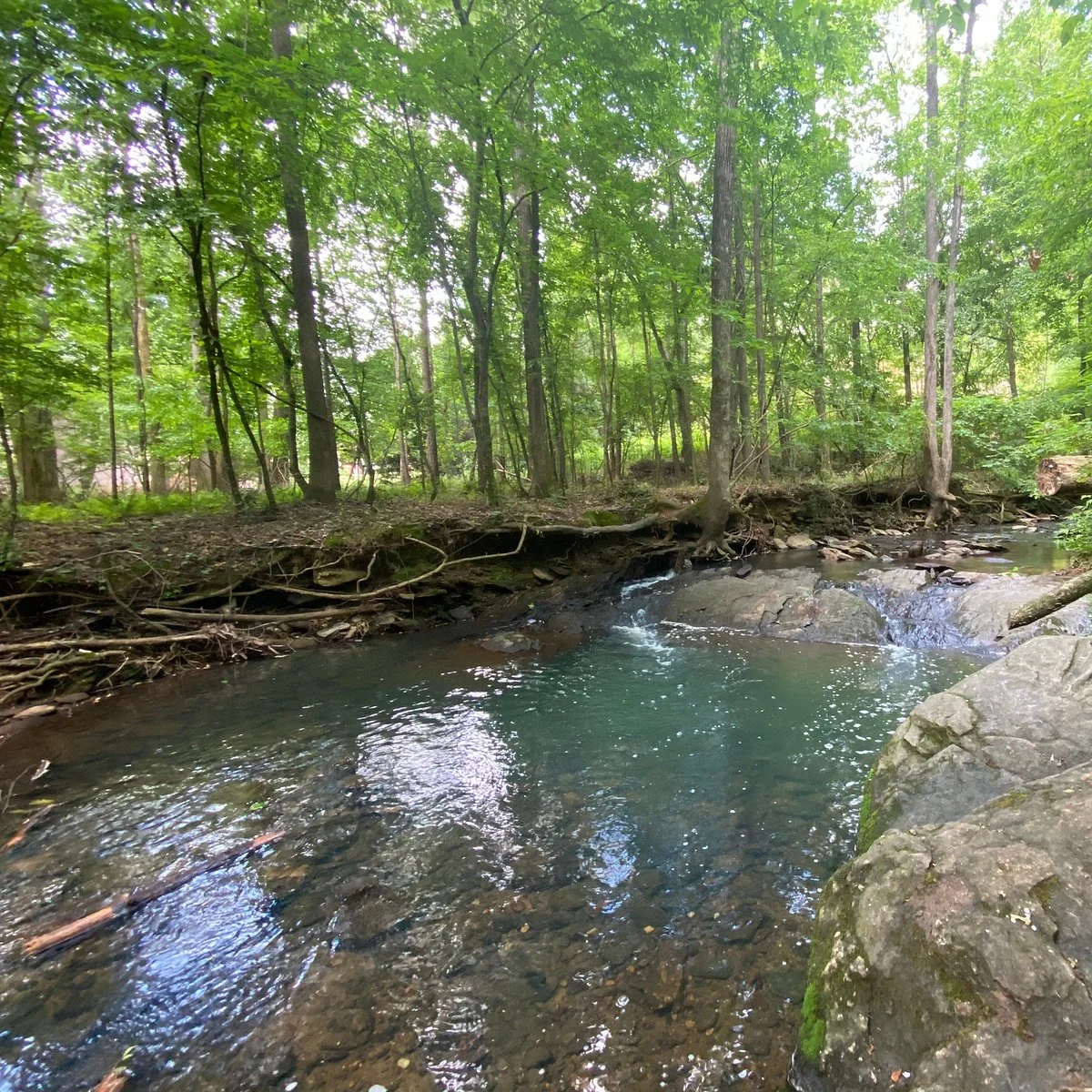 Autrey Mill Nature Preserve and Heritage Center