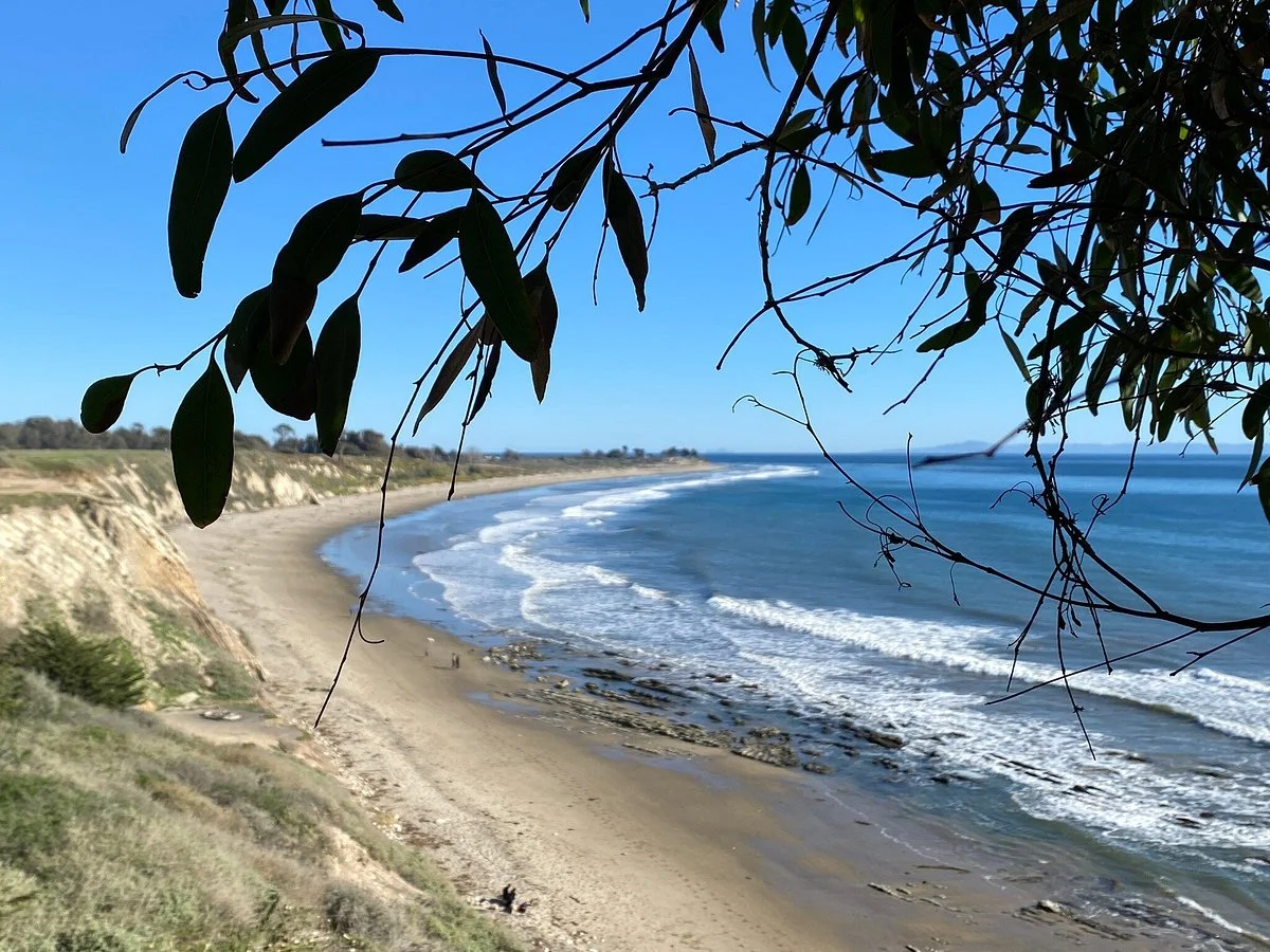 Coronado Butterfly Preserve
