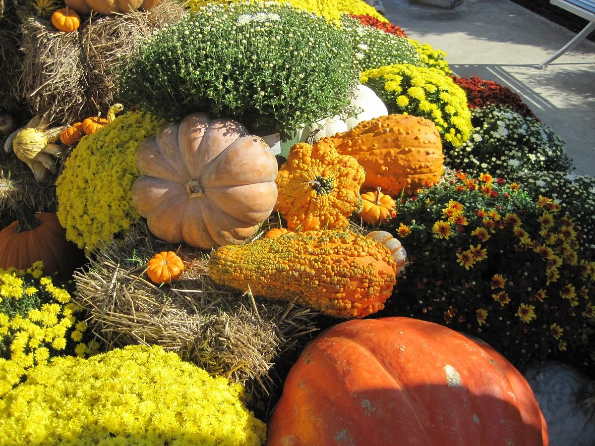 Grand Prairie Farmers Market