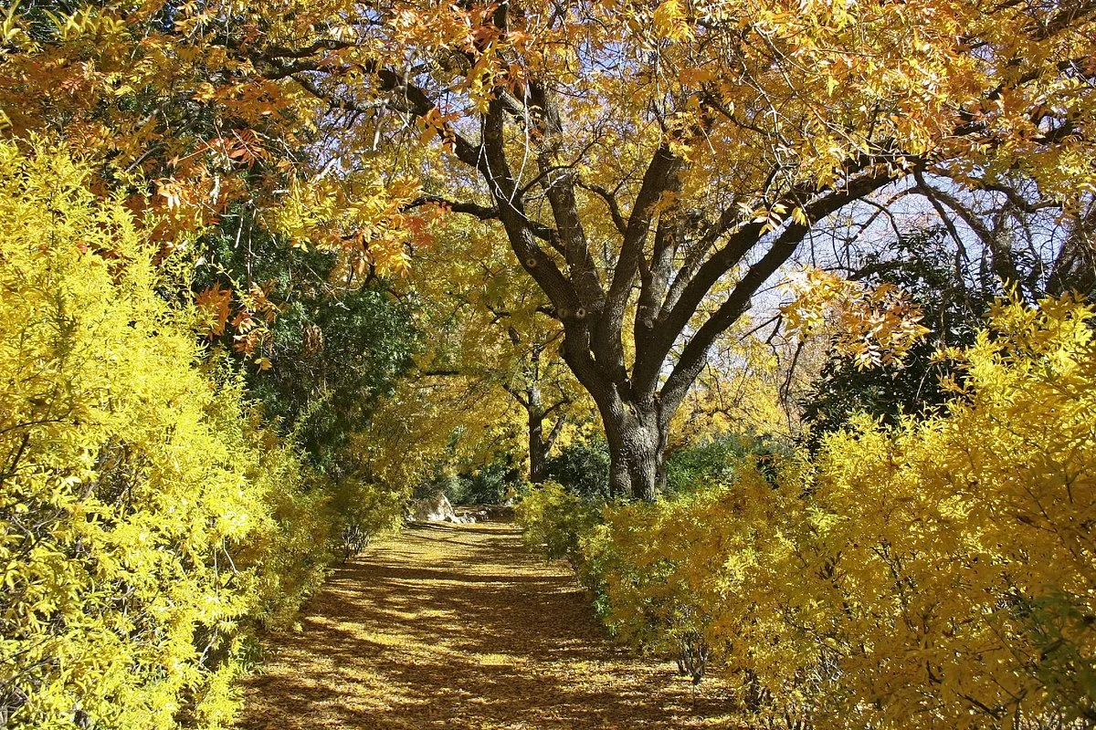 Boyce Thompson Arboretum