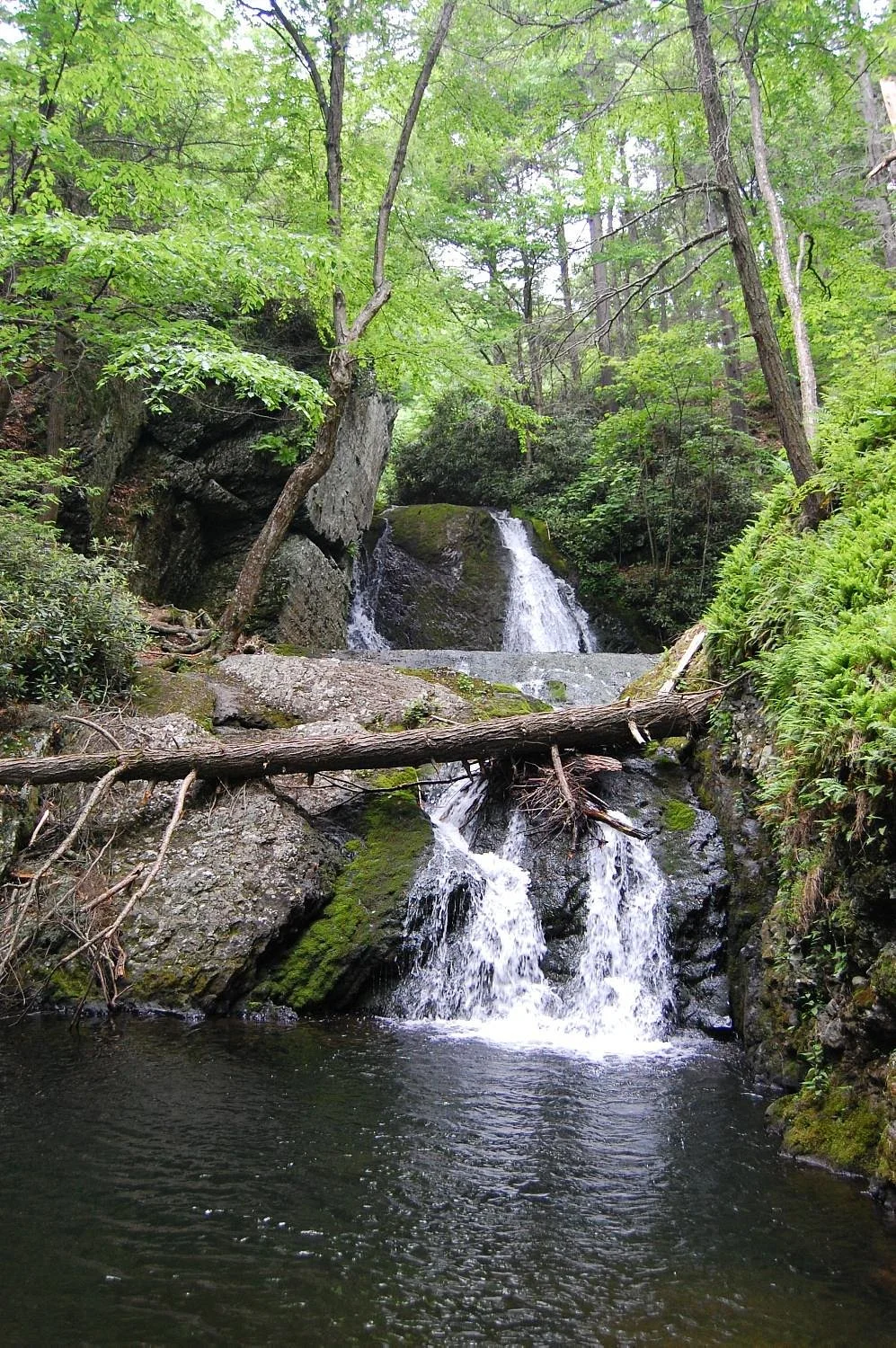 Pocono Environmental Education Center