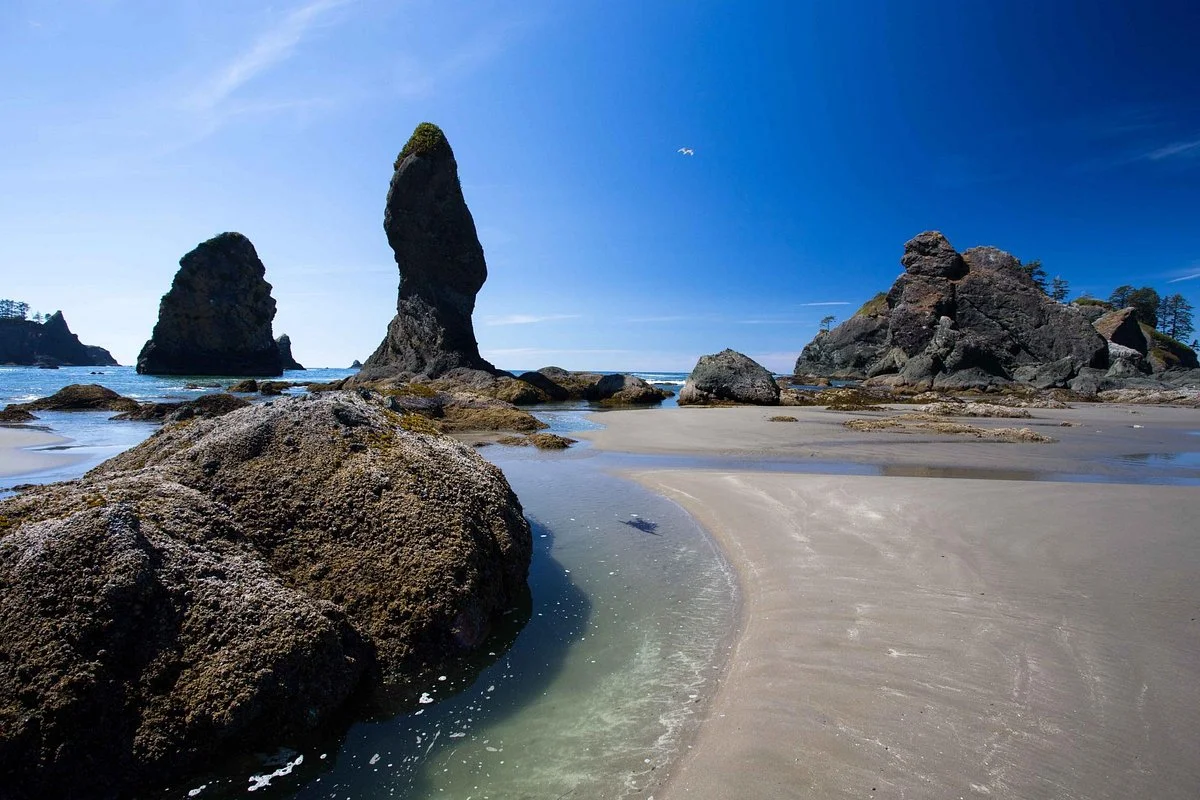 Shi Shi Beach