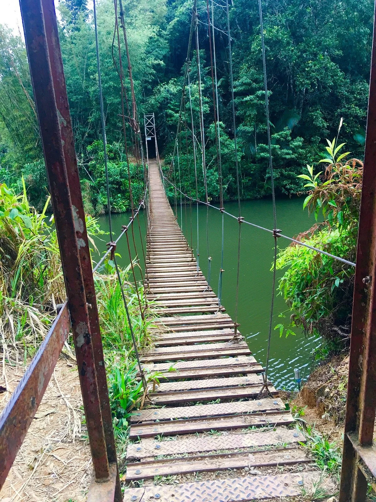 Puente La Hamaca