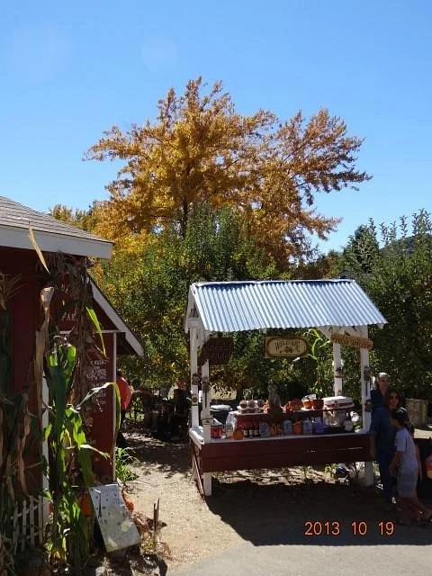 Willowbrook Farm