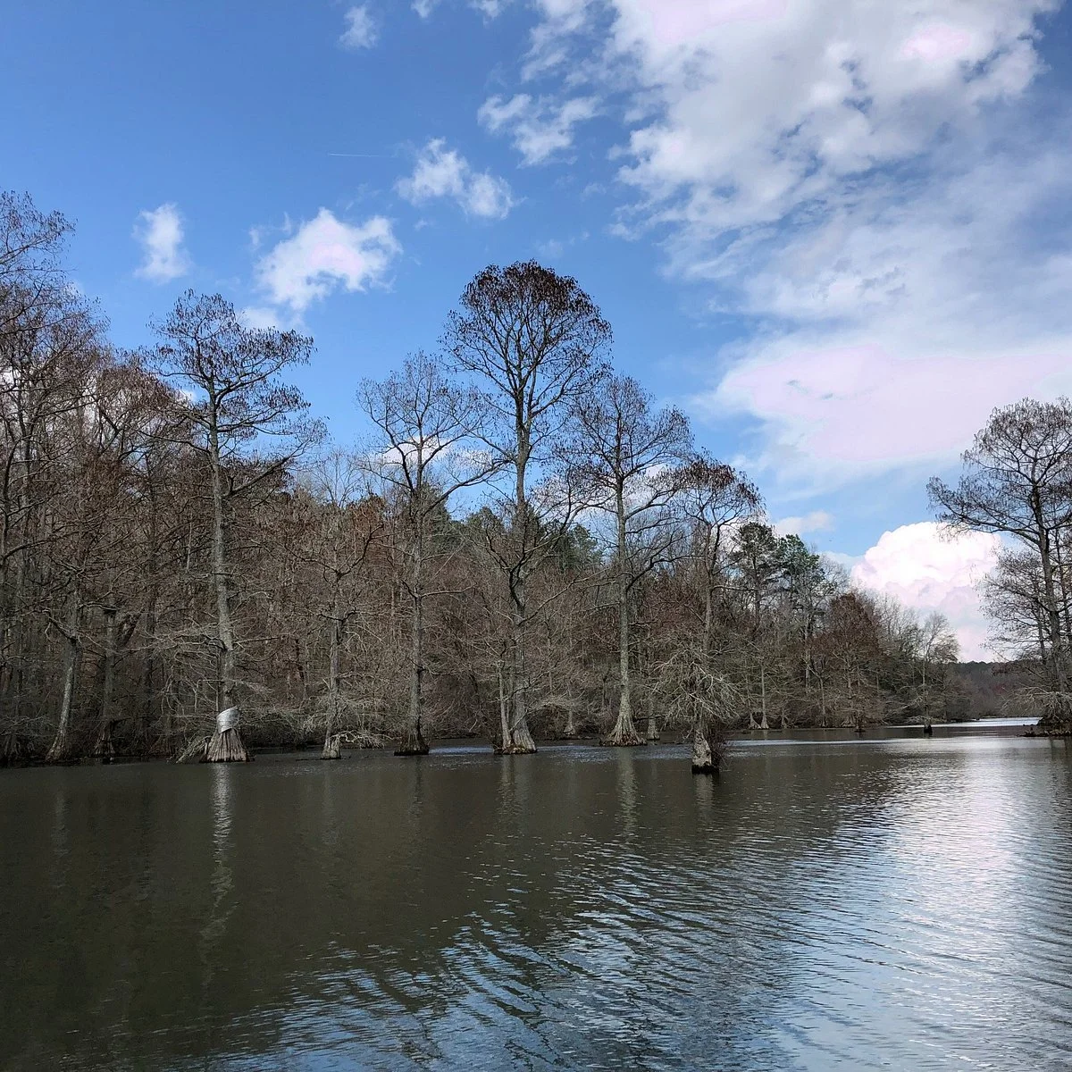 Wall Doxey State Park
