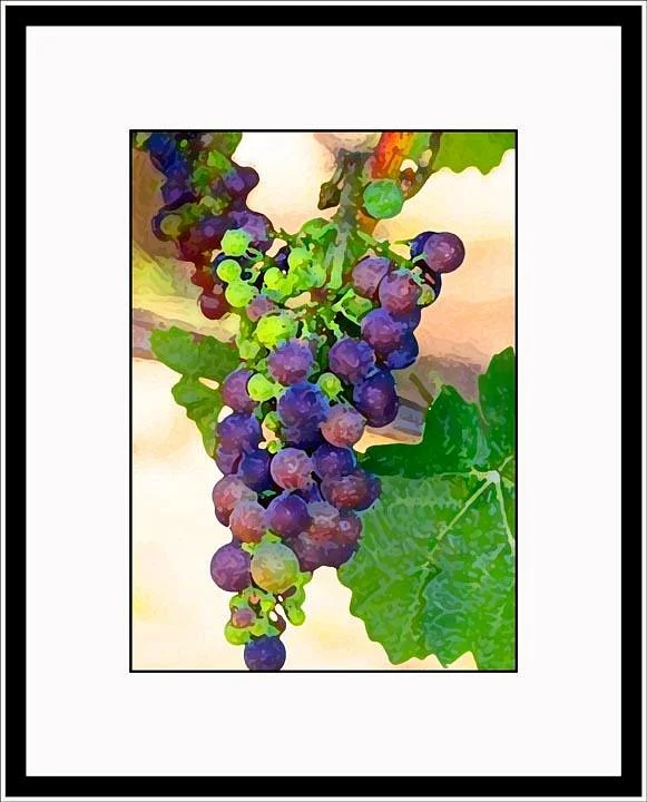 Hanson Vineyards