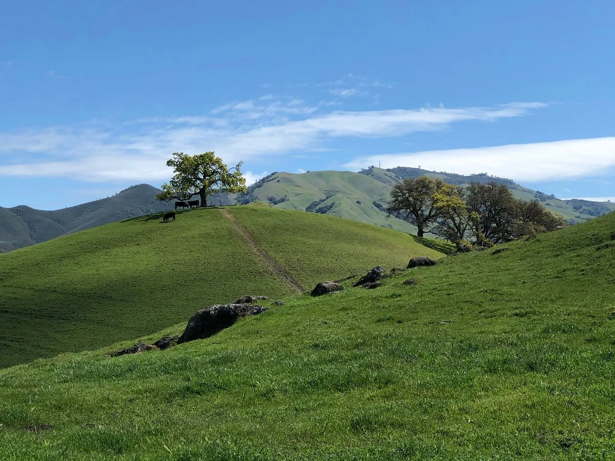 Borges Ranch