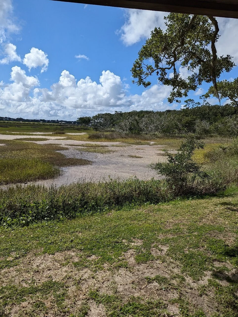 Bloody Marsh