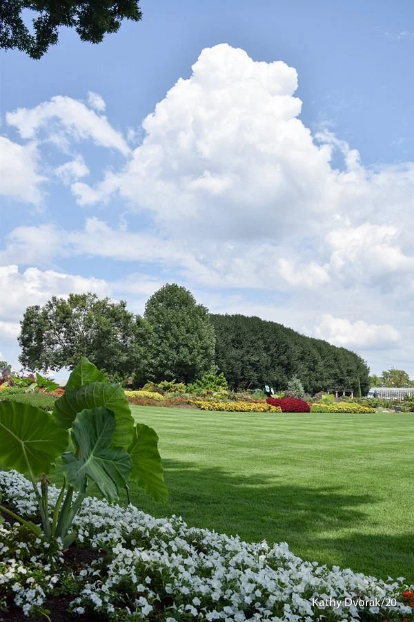 UT Gardens