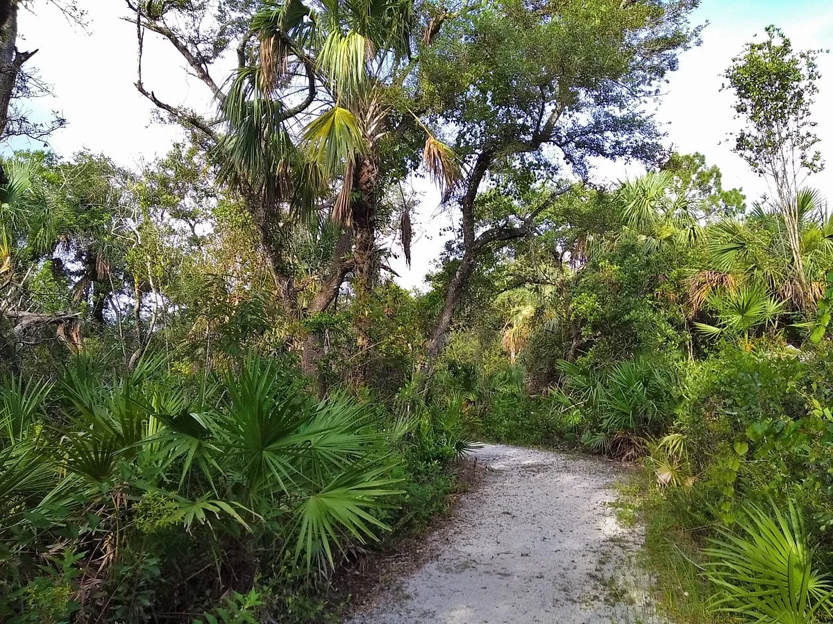 Florida Panther National Wildlife Refuge