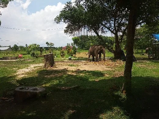 Kasang Kulim Zoo