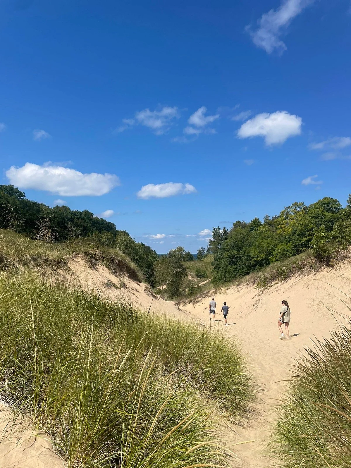Grand Mere State Park
