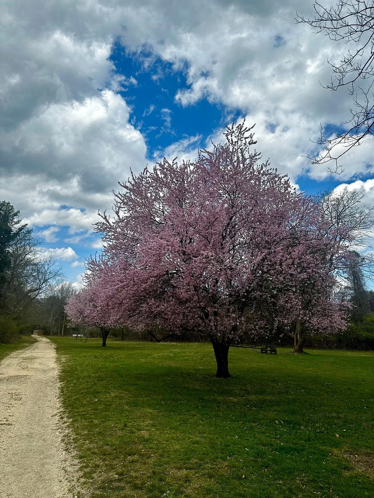 Bliss Price Arboretum and Wildlife Sanctuary