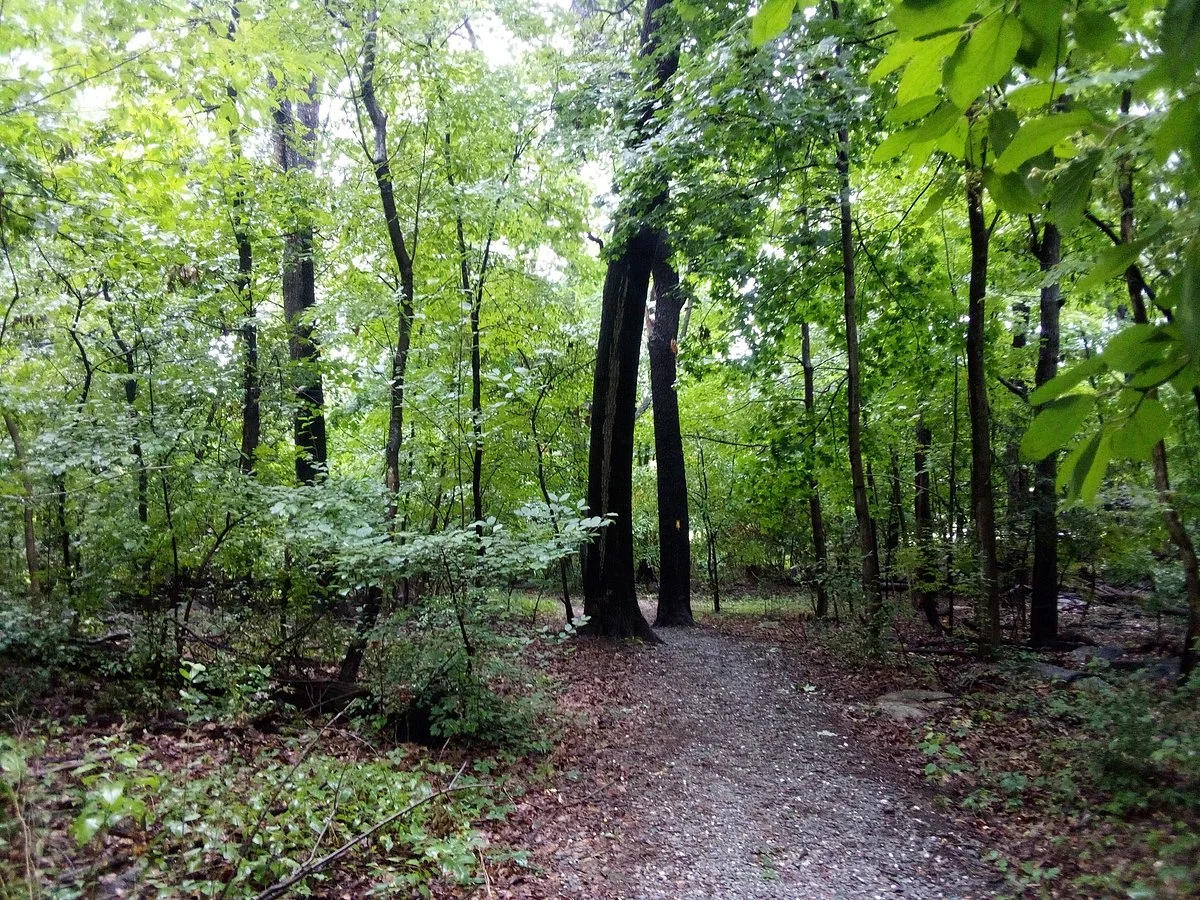 Samuel S. Lewis State Park