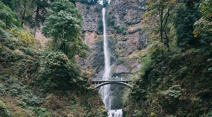 Multnomah Village