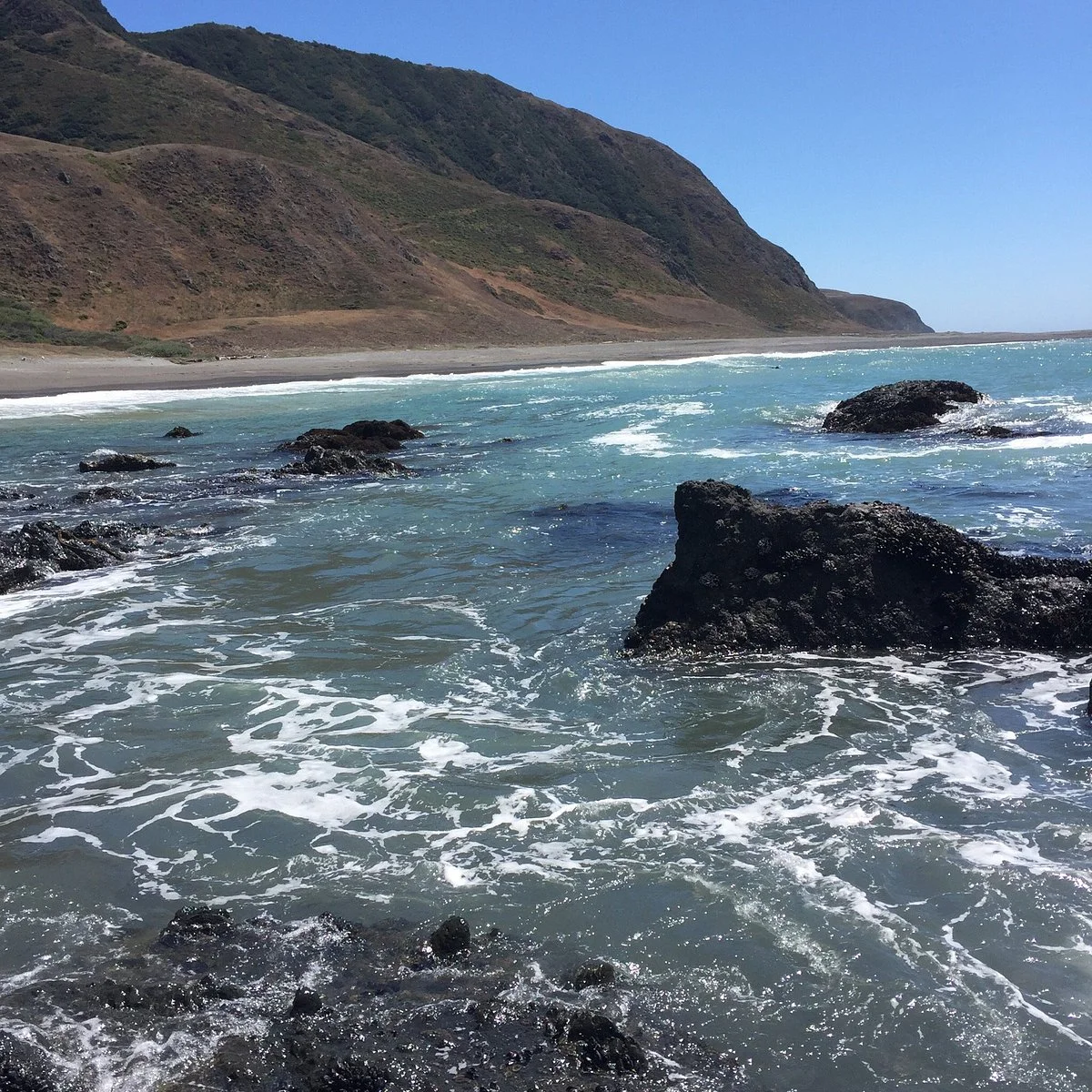 Lost Coast Scenic Drive