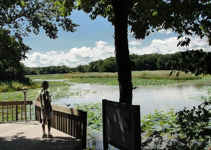 Old Woman Creek State Nature Preserve