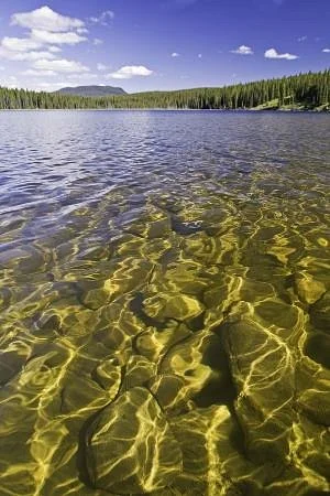 Goldeye Lake