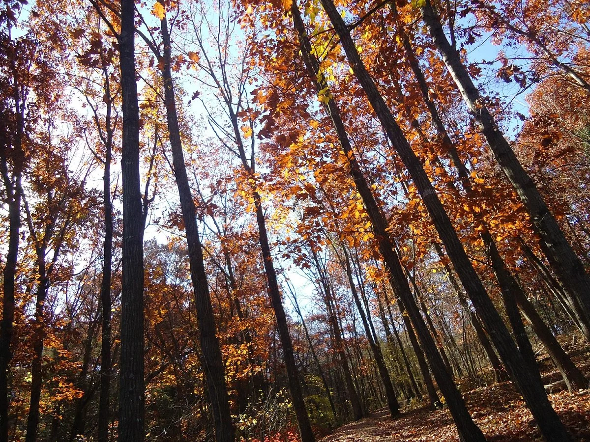 Runge Conservation Nature Center