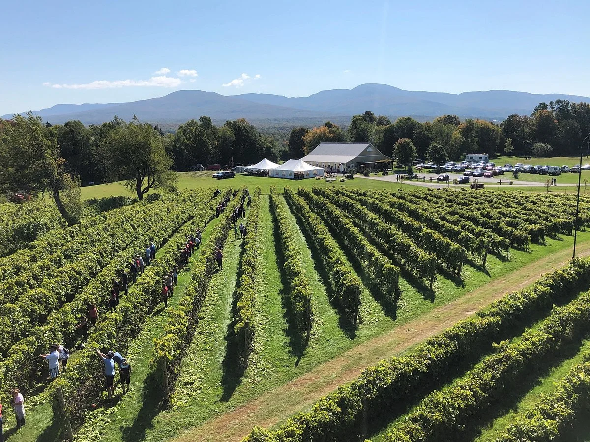 Vignoble Domaine Bresee