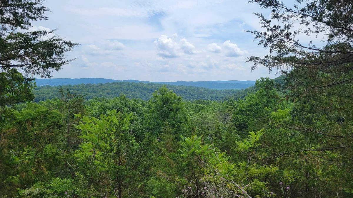 Jenny Jump State Forest