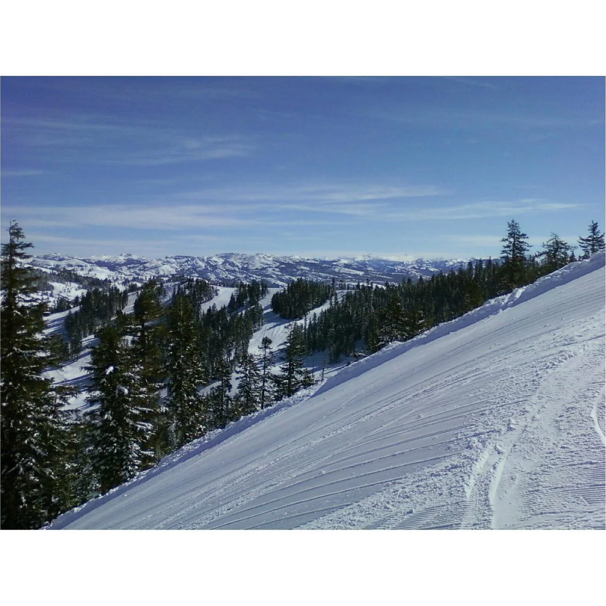 Bear Valley Resort