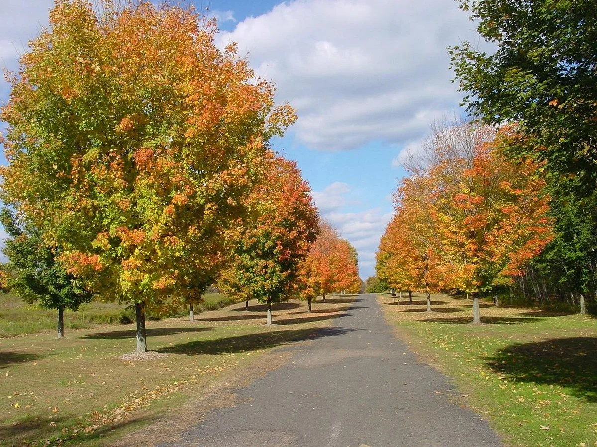 Northwest Park