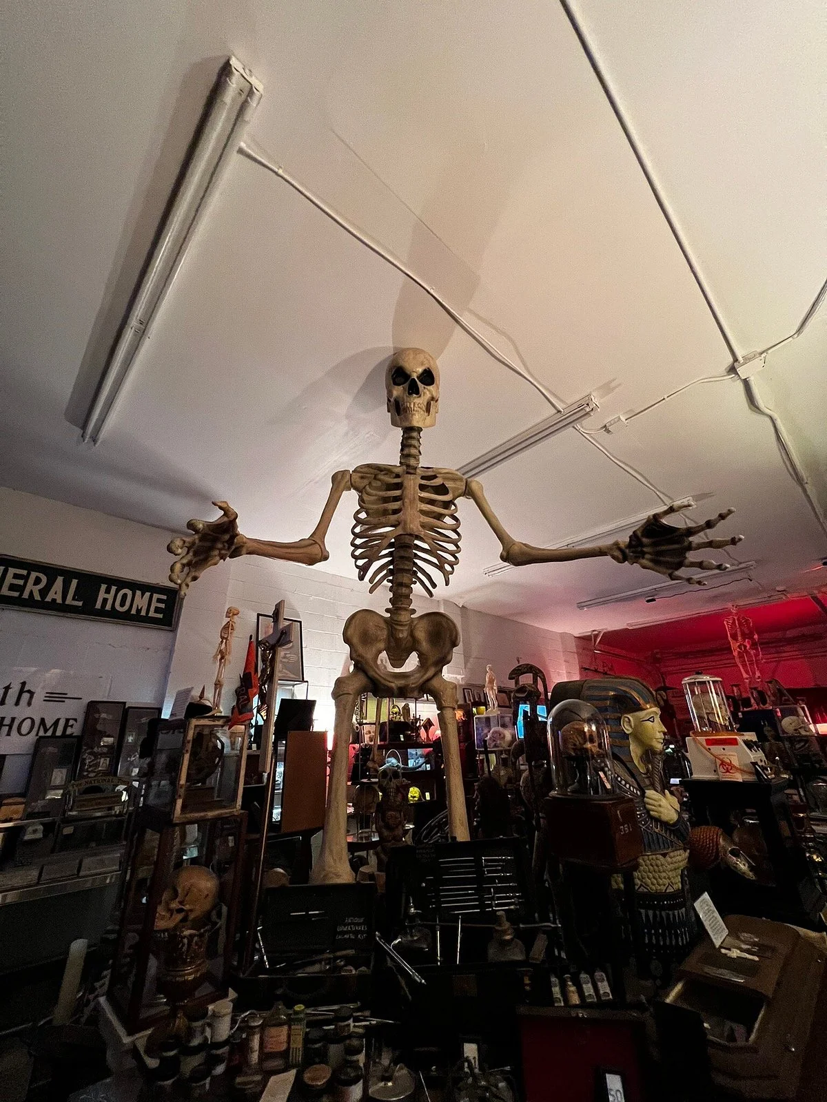 Anatomy Of Death Museum