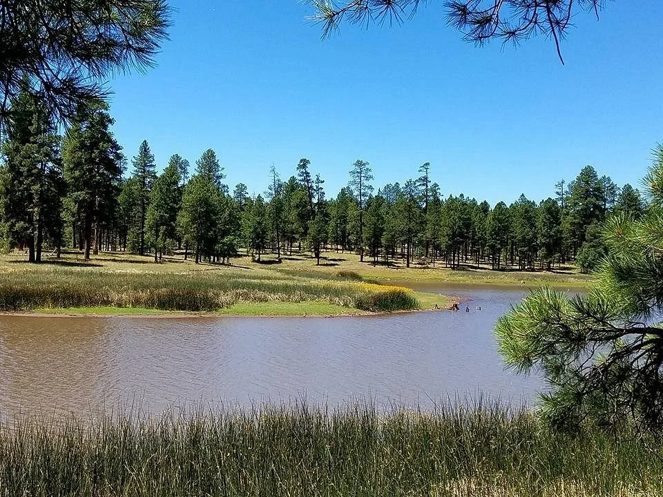 White Horse Lake Campground