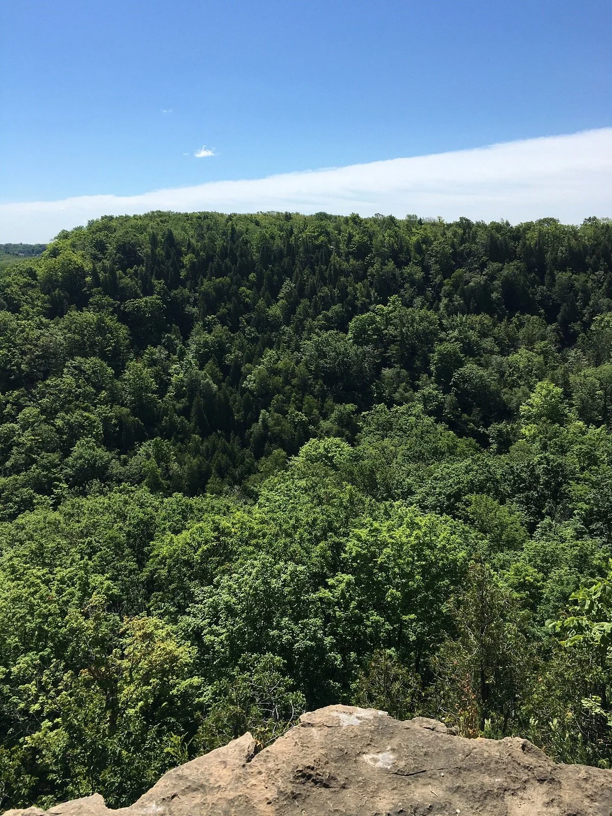 Beamer Memorial Conservation Area