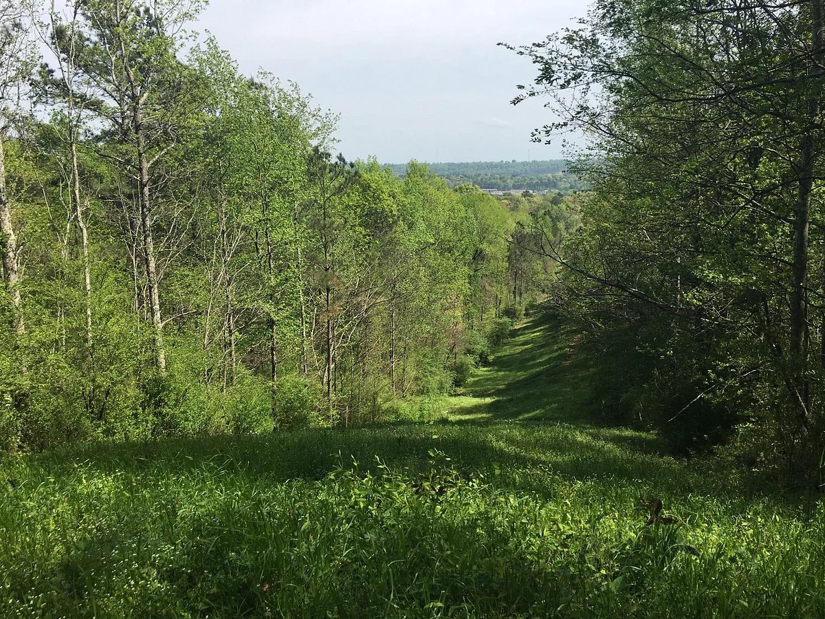 Red Mountain Park