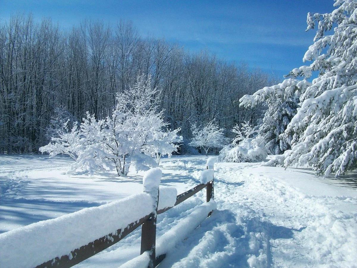 Tinker Nature Park