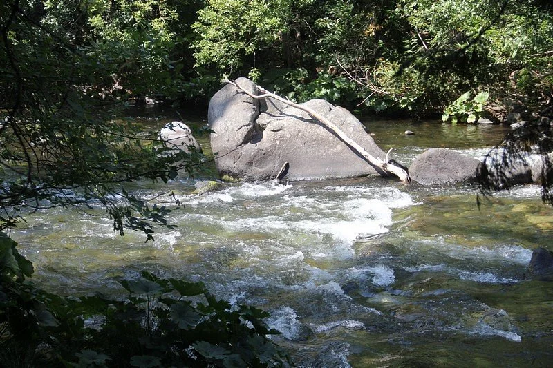 Dunsmuir Botanical Gardens