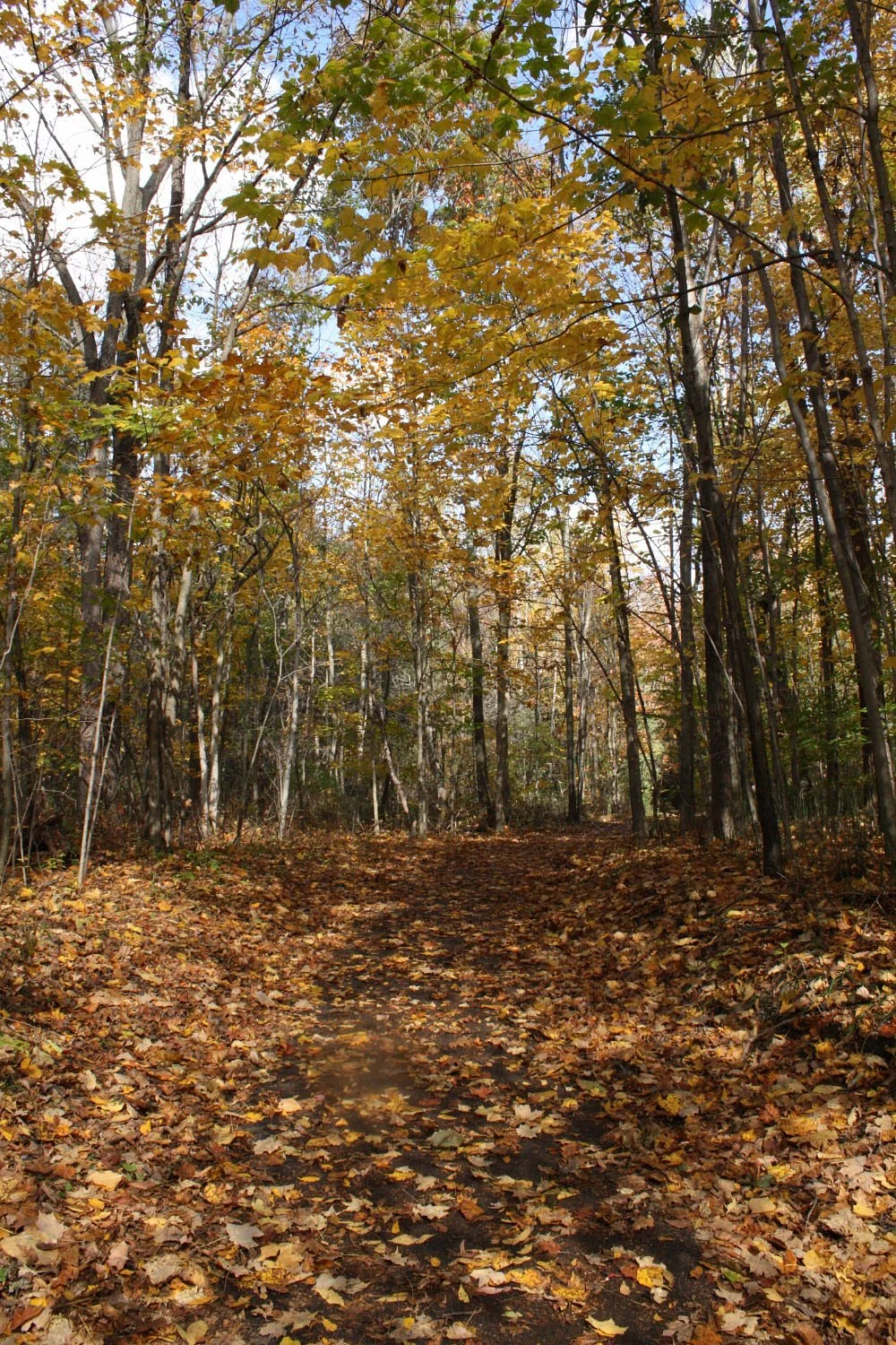 Harris Nature Center