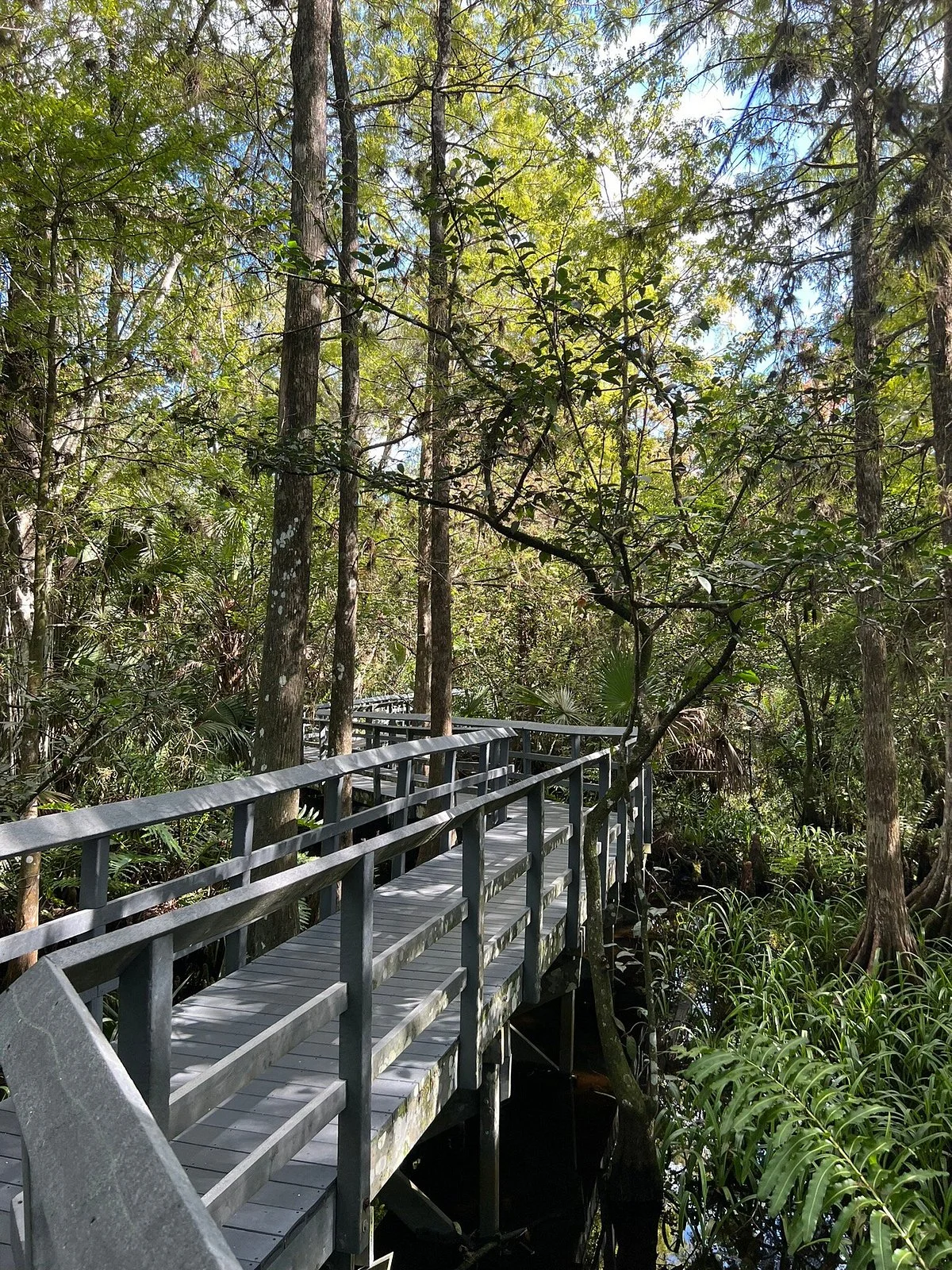 Fern Forest Nature Center