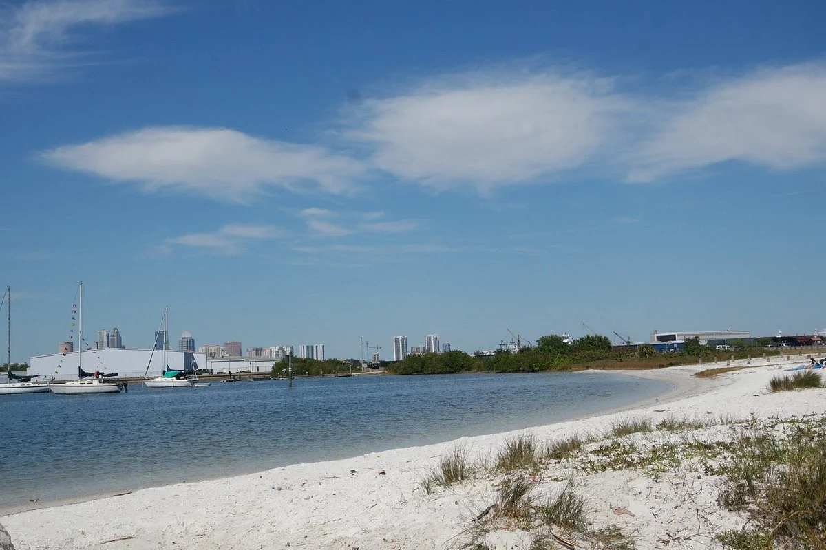 Davis Island Dog Beach