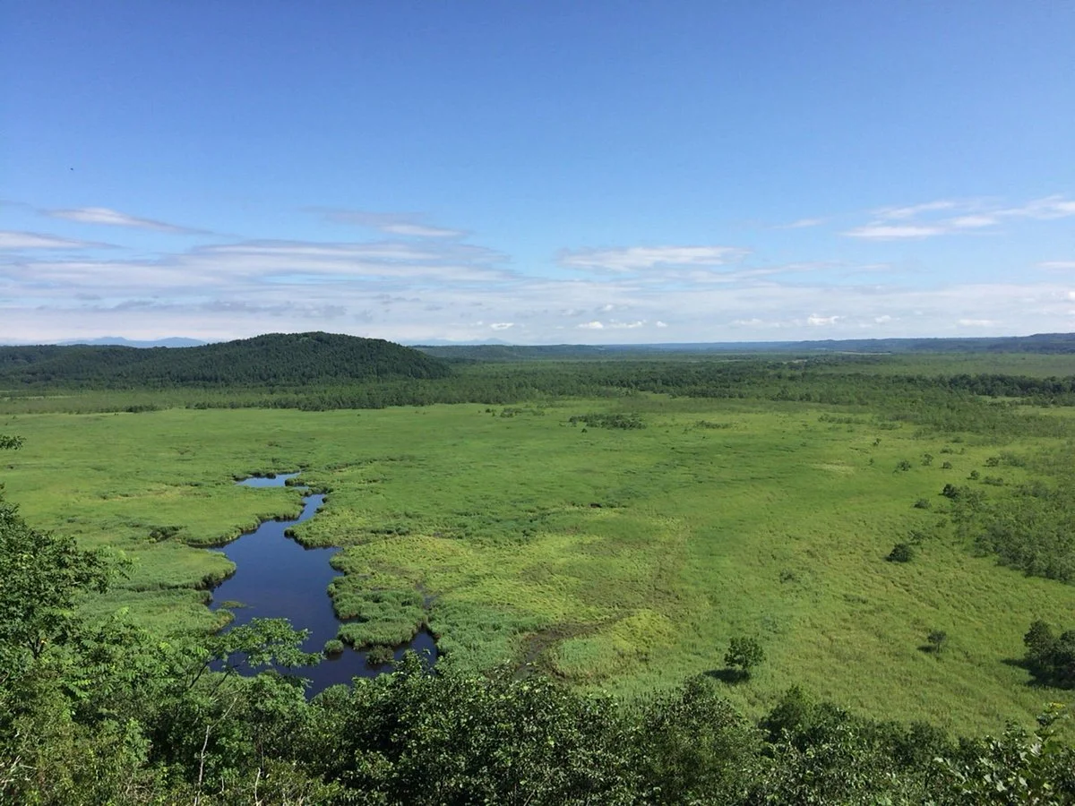 Kottaro Swamp Observatory