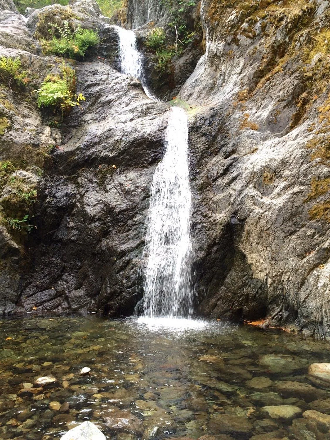 Mount Shasta City Park