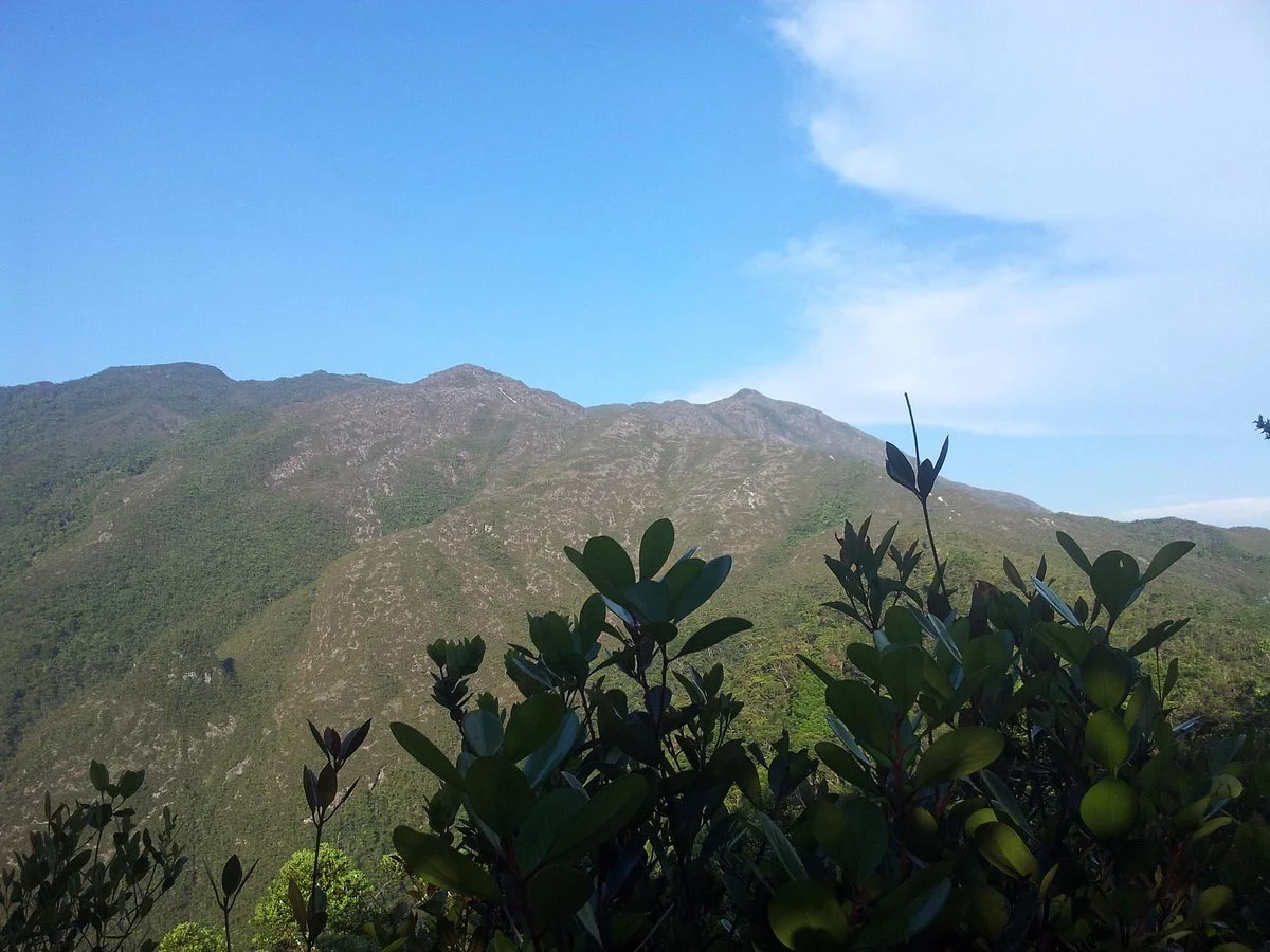 Mount Tahan