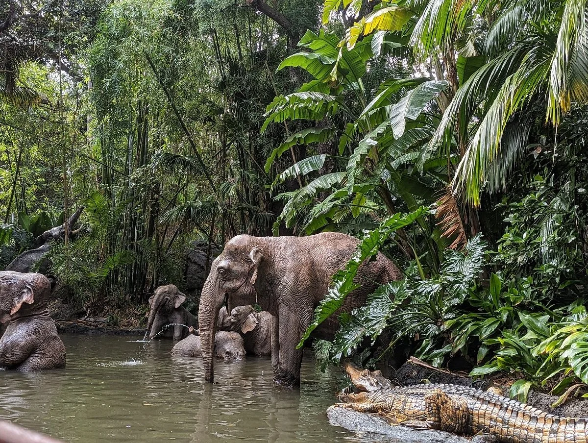 Jungle Cruise