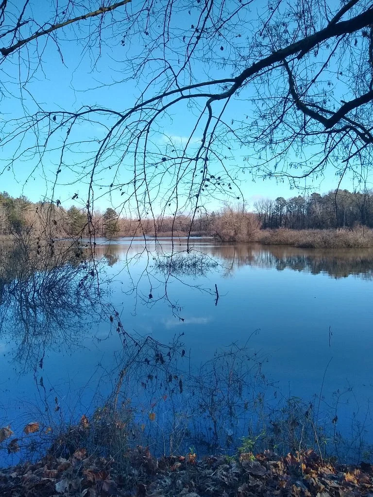 Bona Dea Trails & Sanctuary