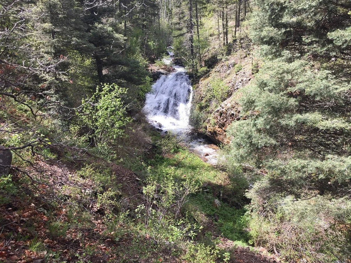 Cimarron Canyon State Park