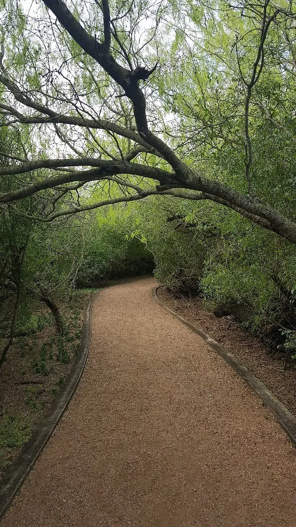 McAllen Nature Center