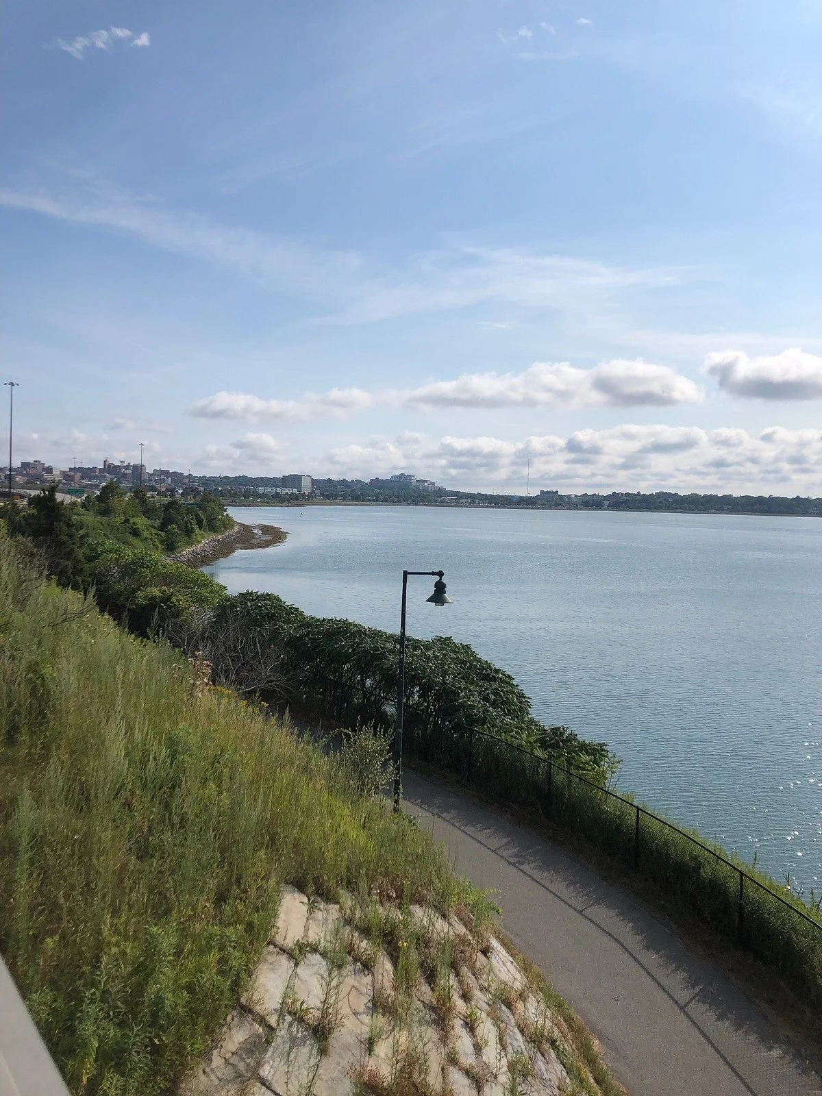Back Cove Trail