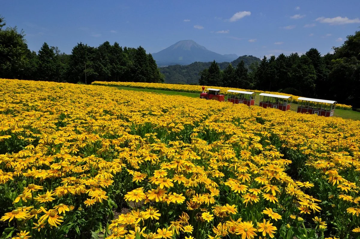 Tottori Hanakairo-Flower Park