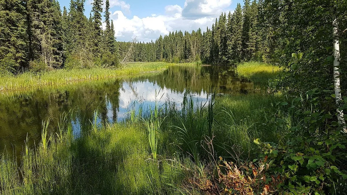 Prince Albert National Park