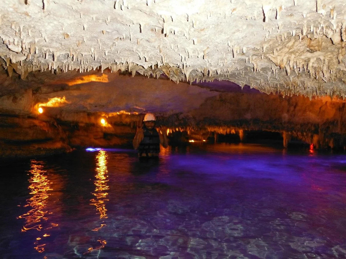 Ecopark Xtut