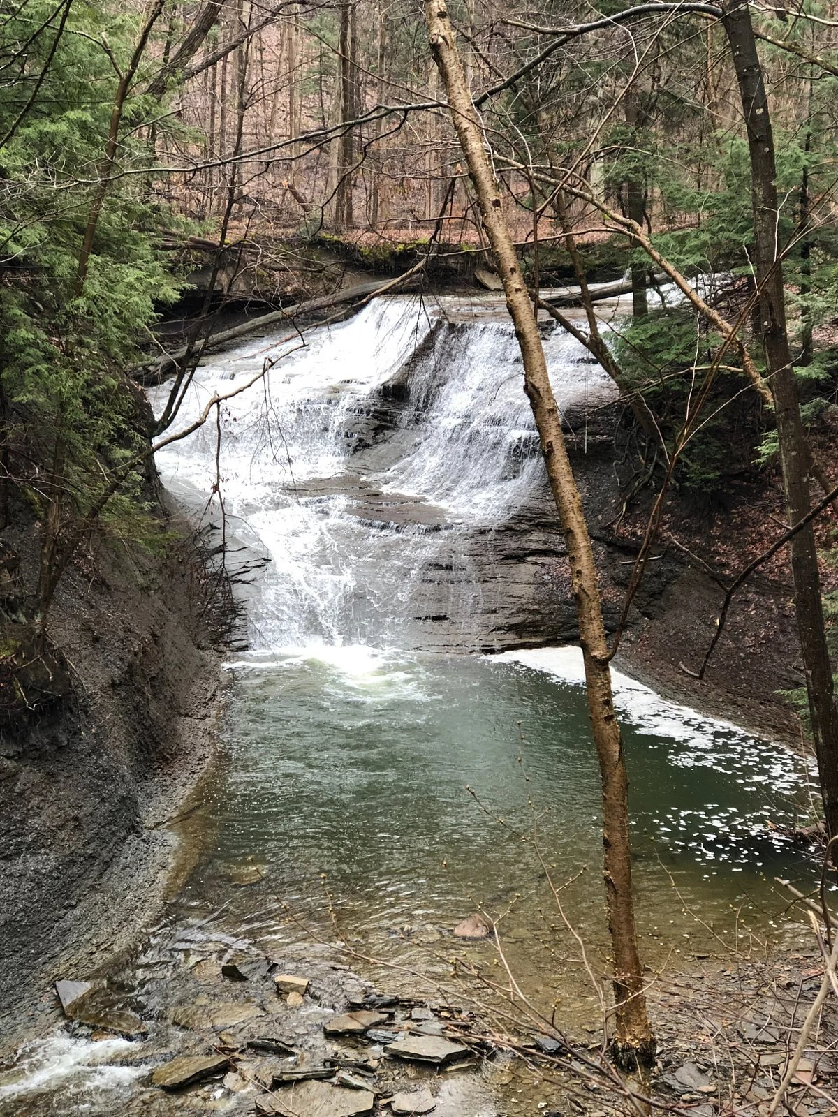 Lake Metroparks Greenway Corridor